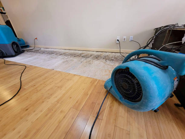Professional Water Damage Repair technician working in Curtis, WA